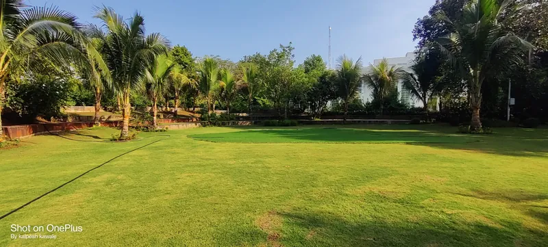 The wide lawn bordered by palms and trees
