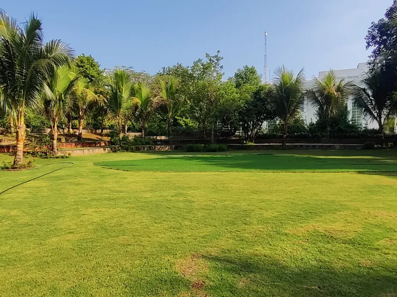 The wide lawn bordered by palms and trees.