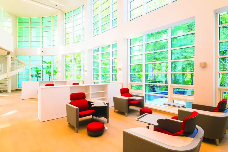 Colourful reading chairs beside the library windows